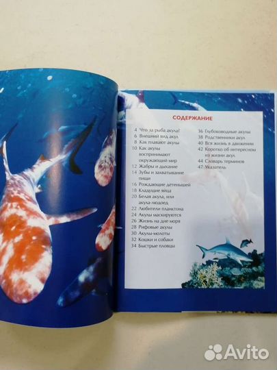 Детская энциклопедия 