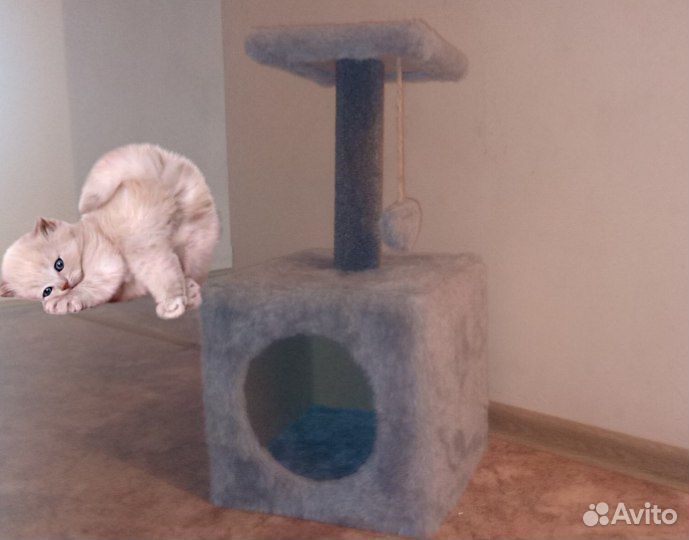 Домик для кошки с когтеточкой б.у