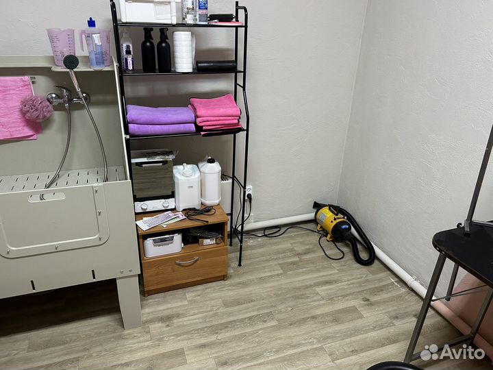 Продажа груминг студии