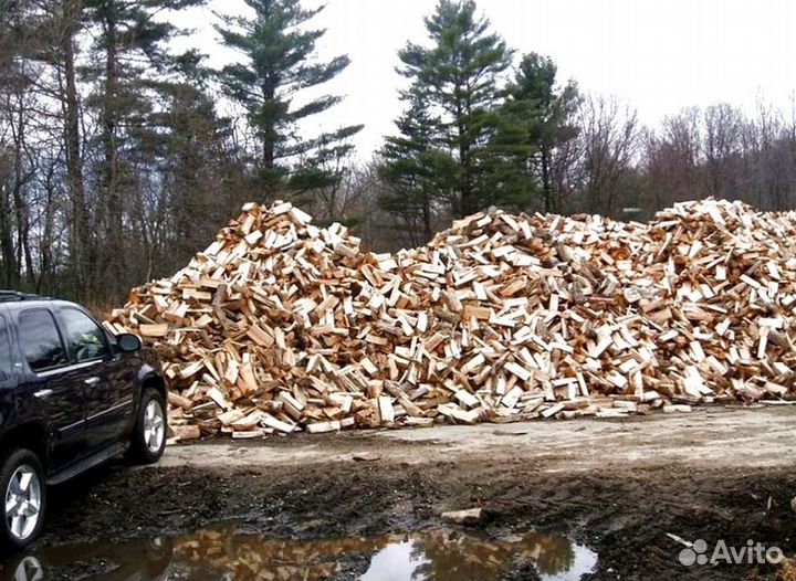 Дрова с Выборга