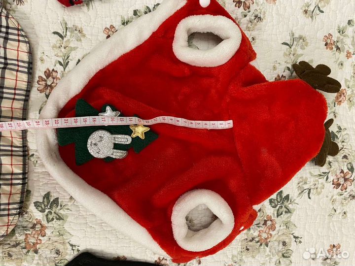 Вещи для маленьких собак