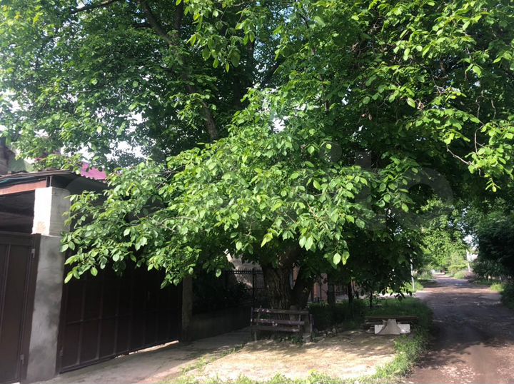 Дом 169,3 м² на участке 3,3 сот.