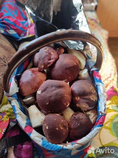 Грибы Белые Сушеные