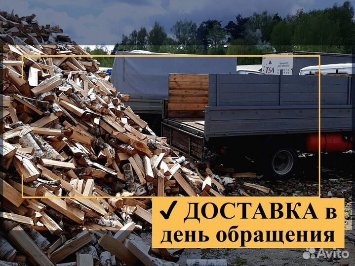Дрова осина