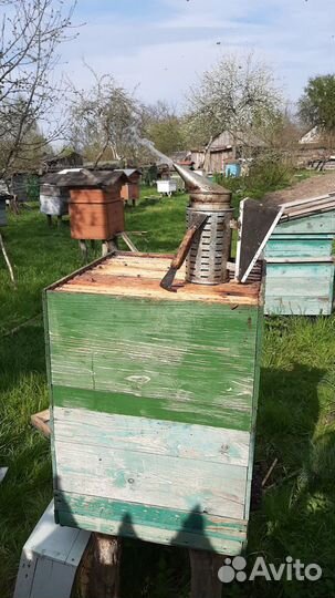 Мед (мед оптом и в розницу)