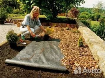 Газон рулонный