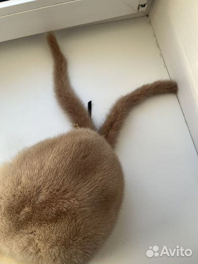 Шапка меховая женская от Daniel Ricci