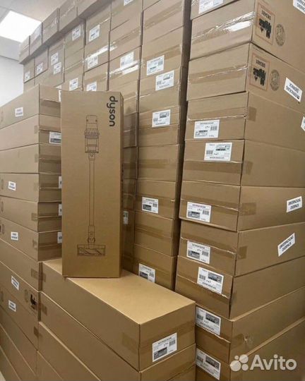 Пылесос Dyson V10 absolute