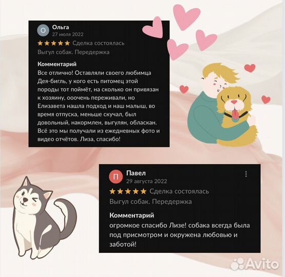 Выгул собак. Передержка