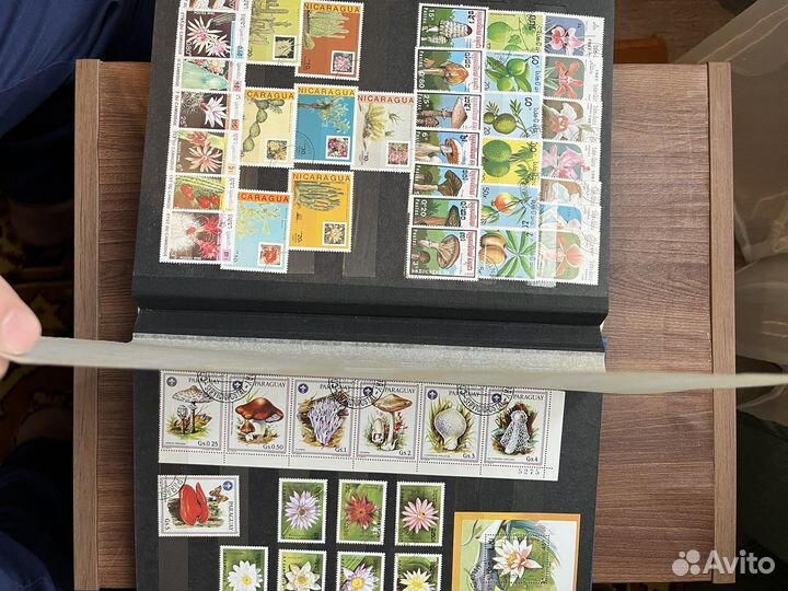 Марки - цветы, грибы. Альбом 18 стр