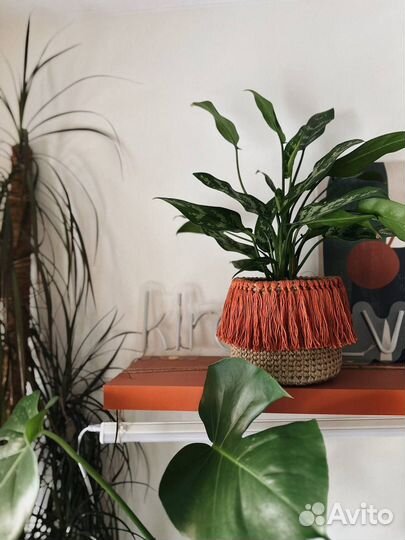 Корзины для интерьера