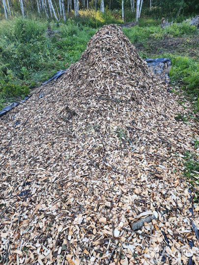 Древесная щепа