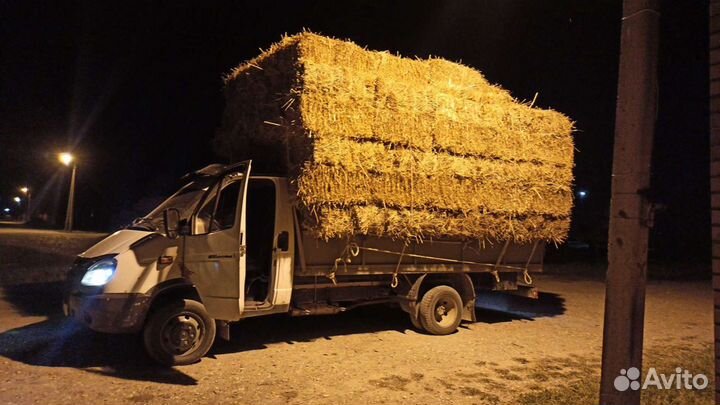 С доставкой