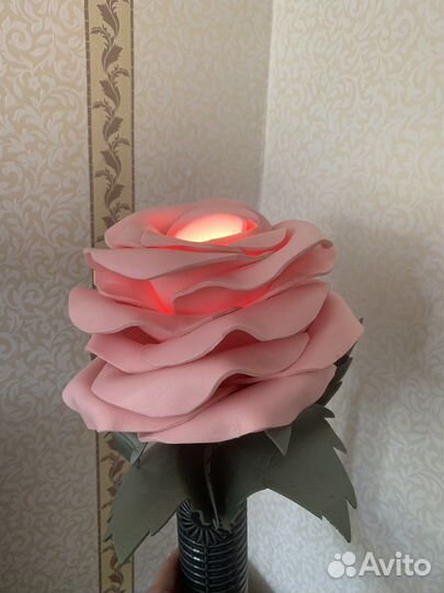 Ночник, цветок