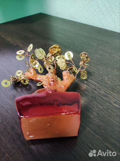 Денежное дерево