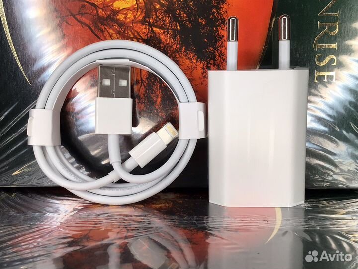 Зарядный комплект для iPhon Оригинал
