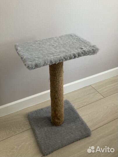 Когтеточка