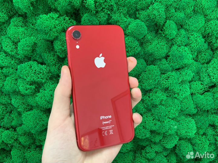 iPhone Xr 128gb Red Ru/a