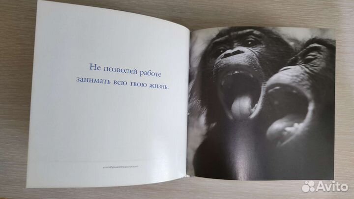 Книга в картинках 