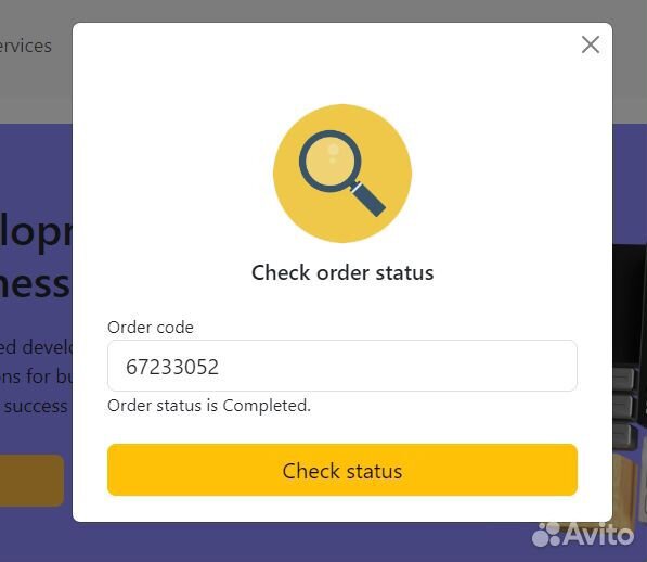 WEB разработка