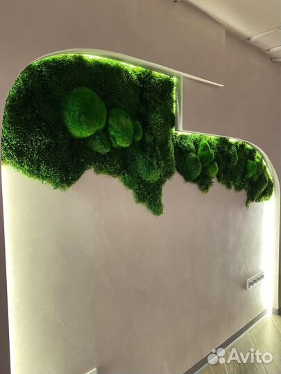 Мох. Озеленение. Фитостена. Декор. Живая стена