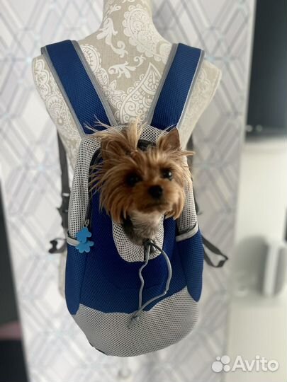 Переноска Рюкзак для животных