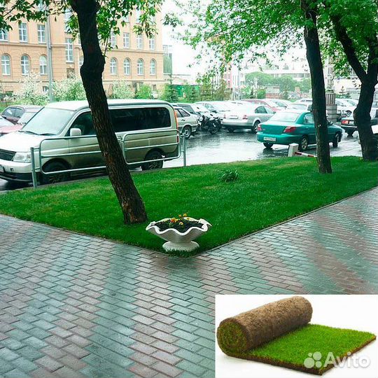 Газон рулонный 