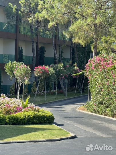 Домработница