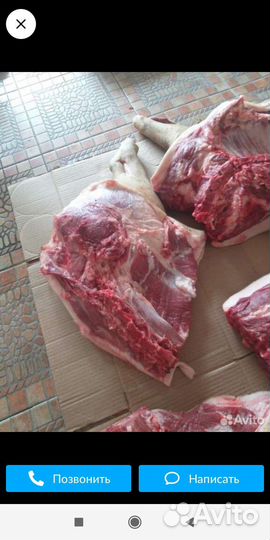 Свинина домашняя