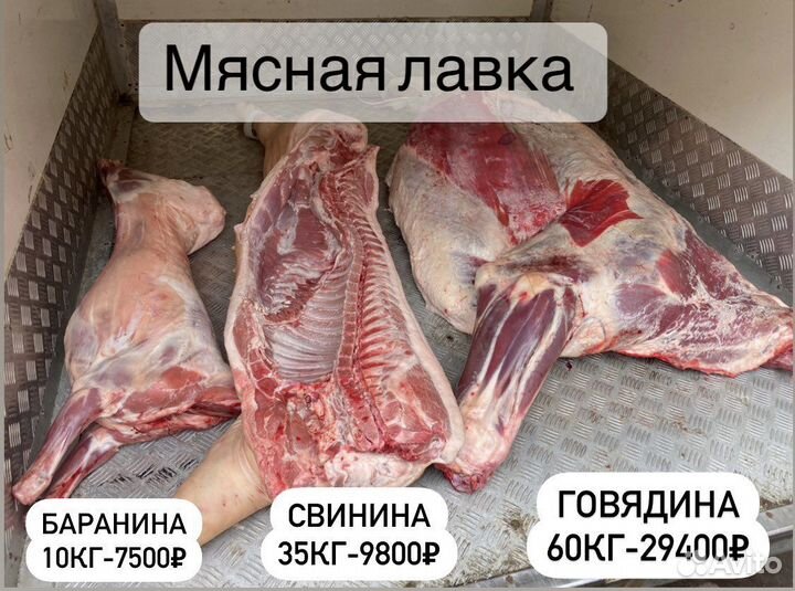 Баранина свинина говядина