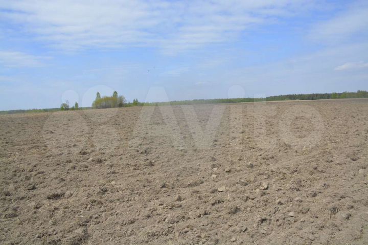 Участок 100 га (СНТ, ДНП)