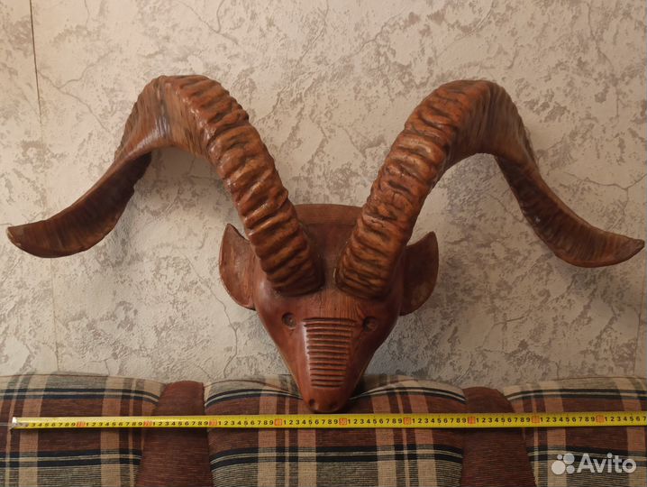 Рога горного барана на деревянной голове