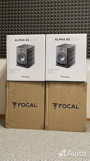 Focal Alpha 65 EVO / пара