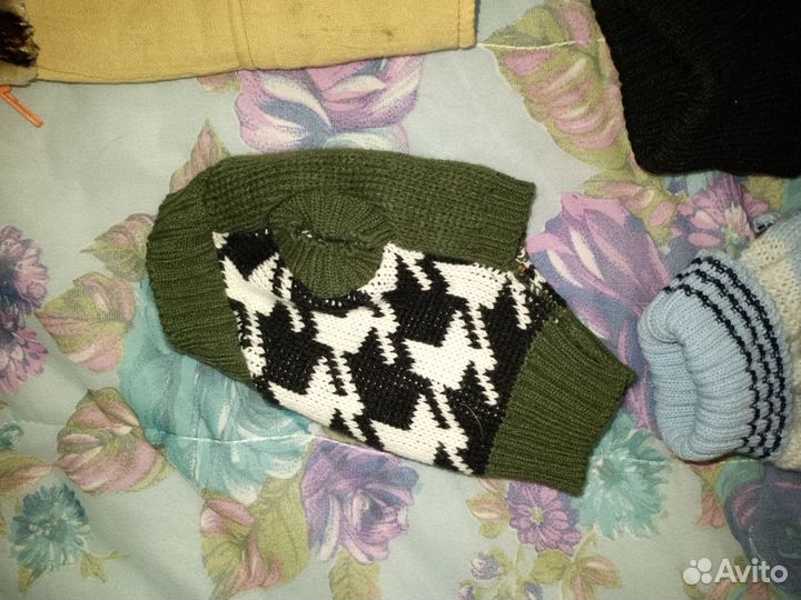 Одежда для маленькой собачки