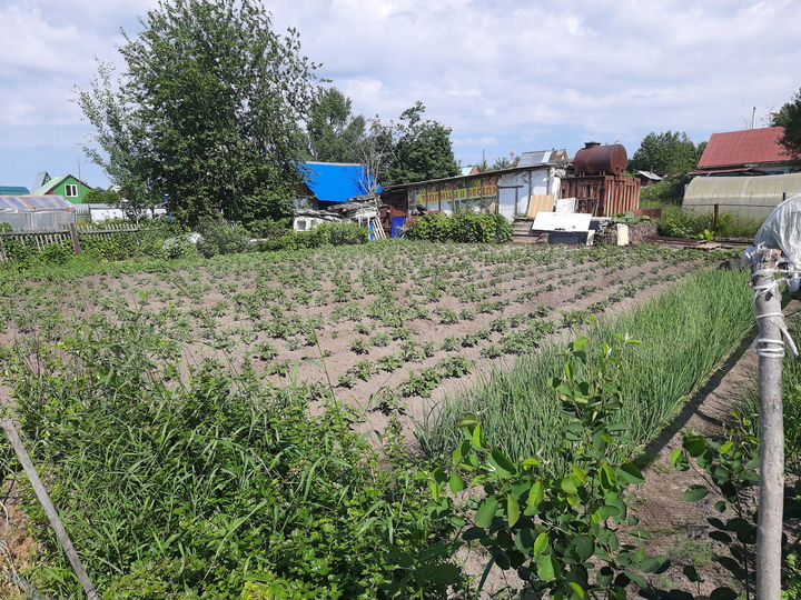 Участок 5 сот. (СНТ, ДНП)