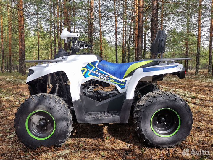 Квадроцикл promax renegade 300