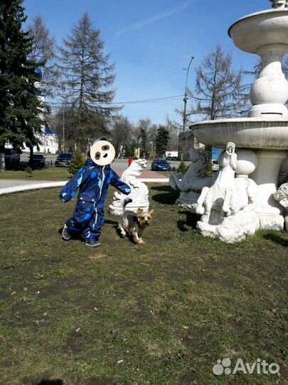 Комбинезон Reima TEC