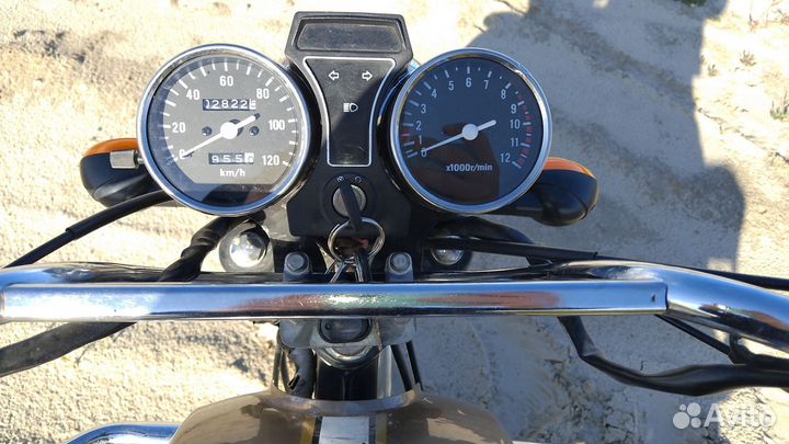 Alpha vr 11