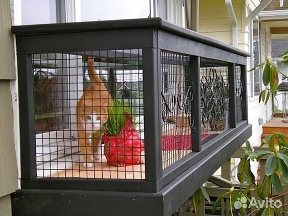 Домики для кошек домашние и уличные