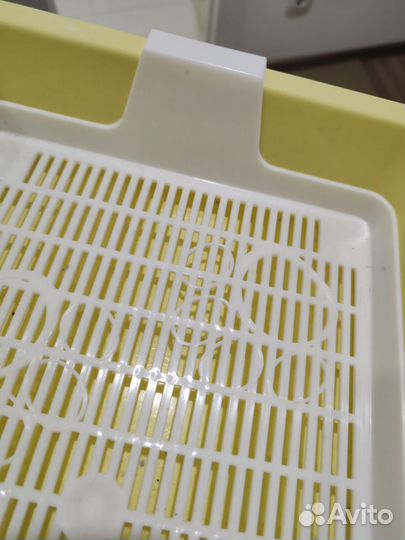 Лоток для кошек бесплатно