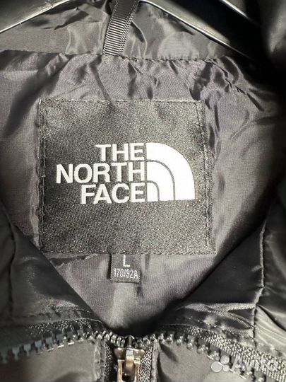 Жилетка the north face