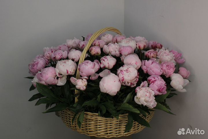 Доставка цветов / Эустома / 10 / Букет