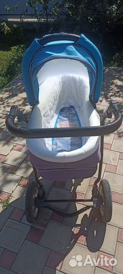 Коляска Adamex Nitro