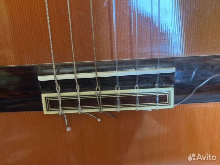 Классическая гитара esteve mod. 5