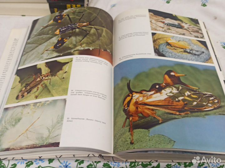 Urania Tierreich Urania Pflanzenreich 8 книг 1967