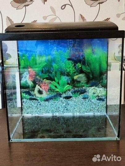 Аквариум