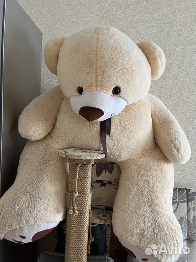 Продам большого мягкого медведя