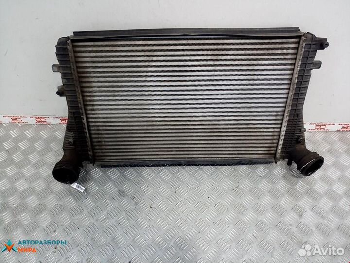 Интеркулер Audi A3 8P 2004 1K0145803CD