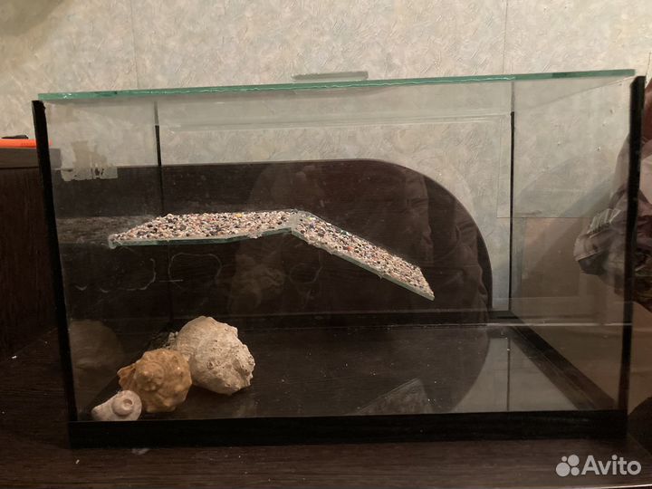 Аквариум для красноухой черепахи