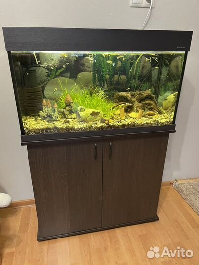 Аквариум 110-120 литров, венге